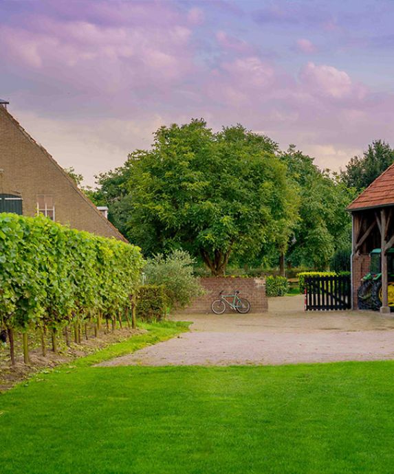 Gezinsvakantie, familieweekend of samen er op uit?
