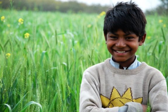 Pakistaanse jongen in veld Pakistan_jongen_in_veld