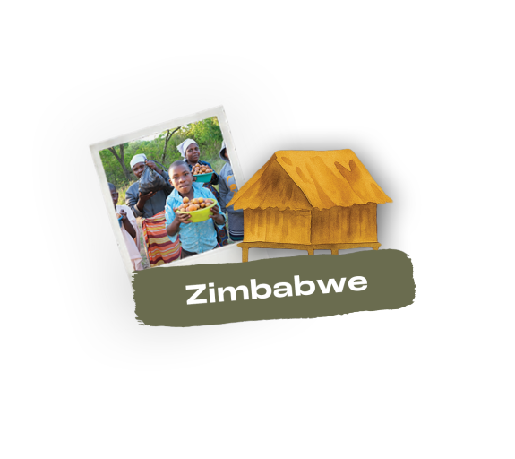 Land - Zimbabwe