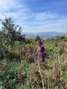 Vrouw in landschap-website