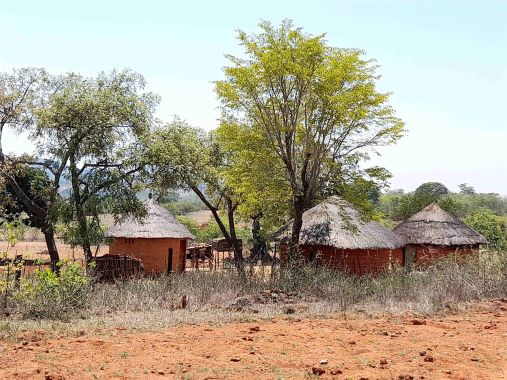 land_zimbabwe_overzichtsfoto_hutjes_traditioneel land_zimbabwe_overzichtsfoto_hutjes_traditioneel