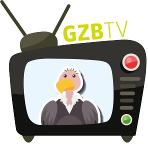 logo GZB TV def