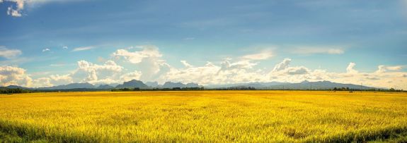 vietnam-3732375