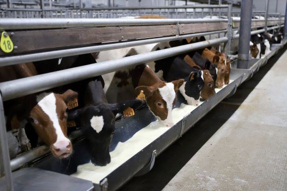 With Airflow Doors, you choose quality, durability and a healthy environment for your calves.