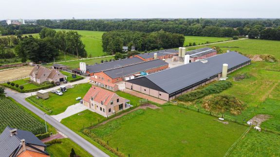 Veal farm Vandeperre
