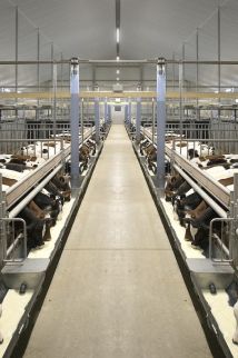 Kalverstal met duurzame en diervriendelijke huisvesting Uw innovatieve en duurzame kalverstal