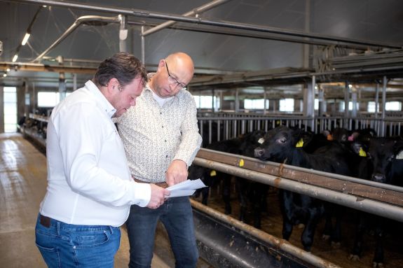 Verkoper en kalverhouder in gesprek over bedrijfsoplossingen Verkoper en kalverhouder in gesprek over bedrijfsoplossingen