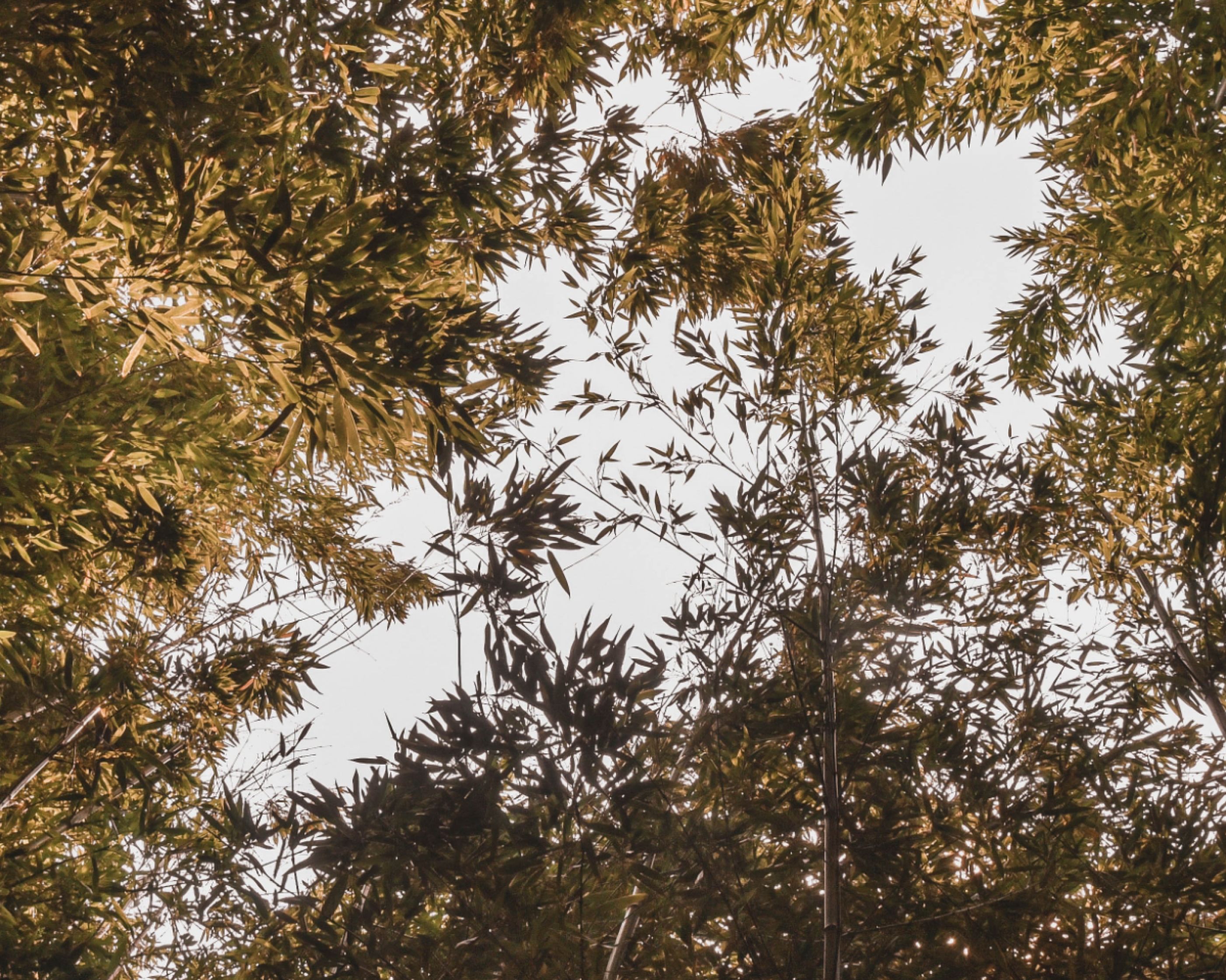 zane-lee-i2AzVtRPl-M-unsplash@2x.png