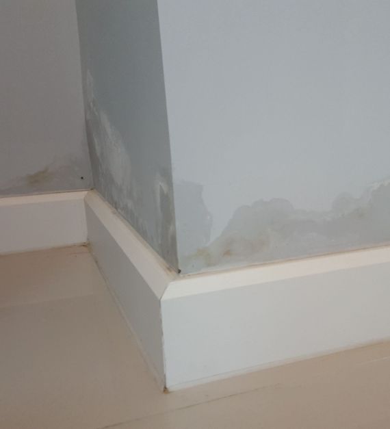 66e3d51a-shutterstock_586916339-scaled