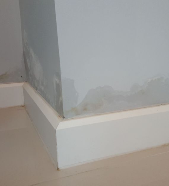 66e3d51a-shutterstock_586916339-scaled