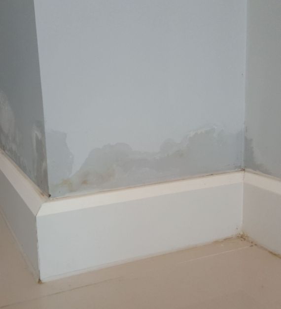 66e3d51a-shutterstock_586916339-scaled