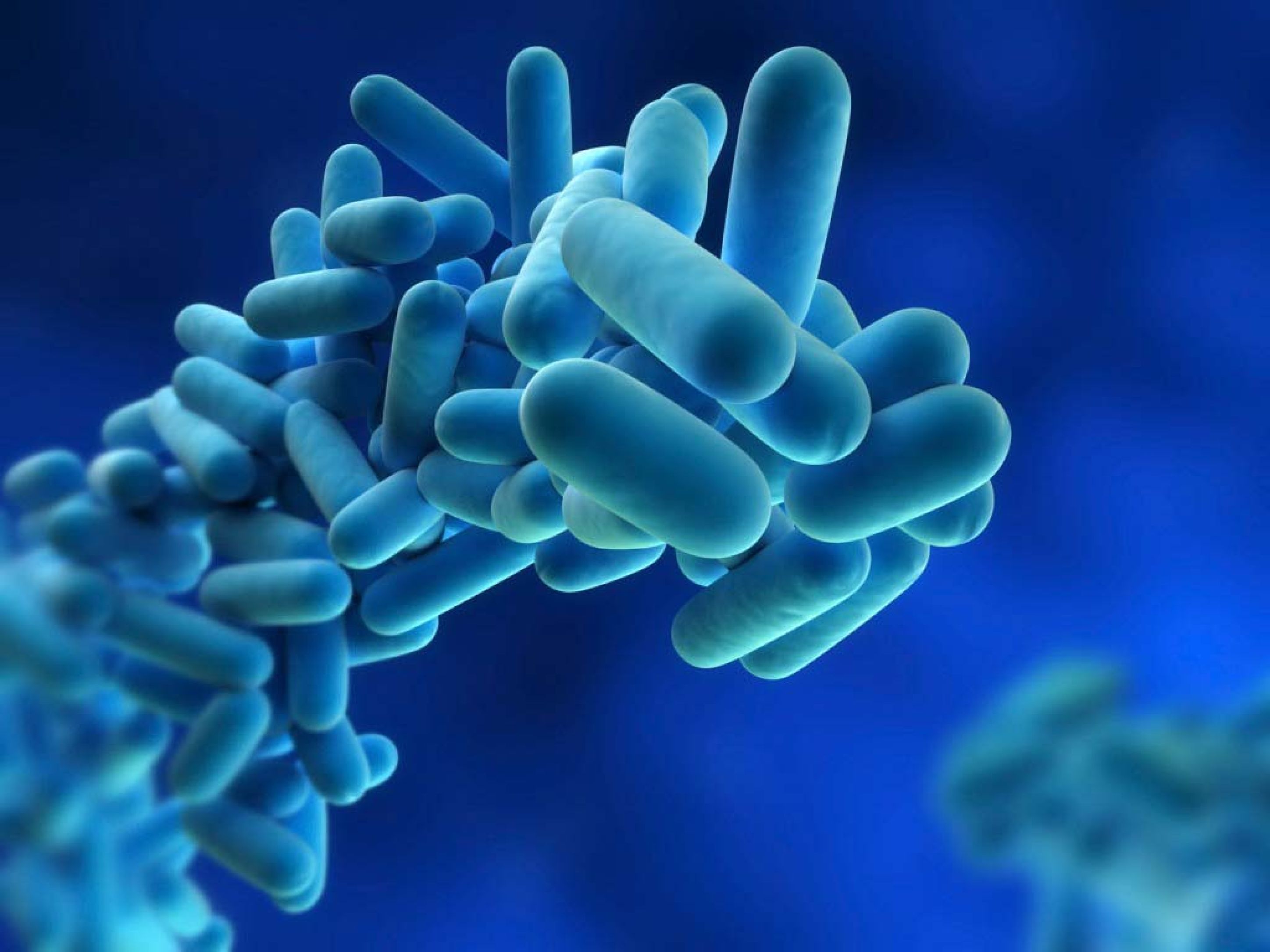 Legionella veilig bevochtiging Cumulus