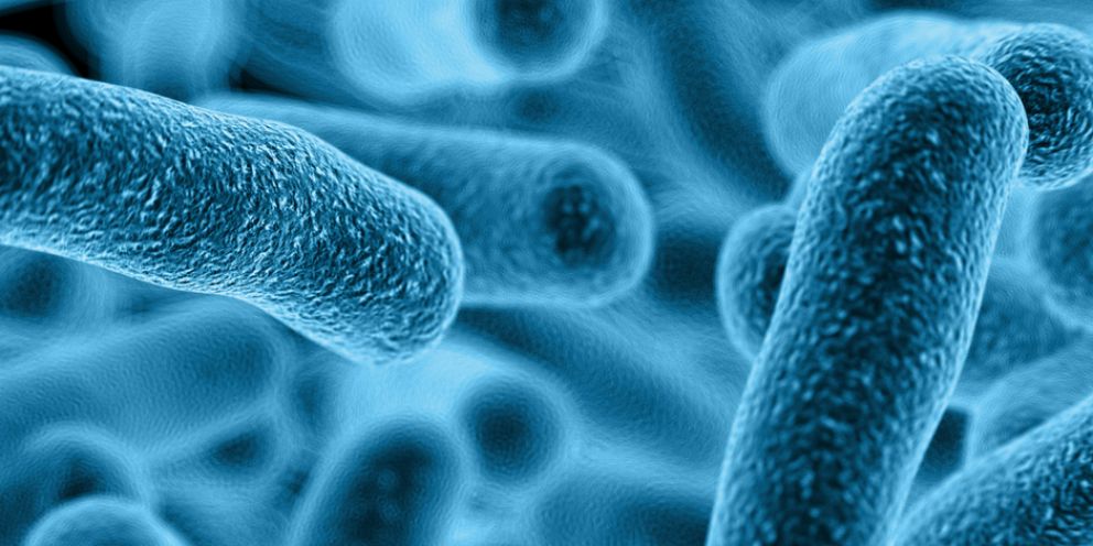 Legionella-940x470.png