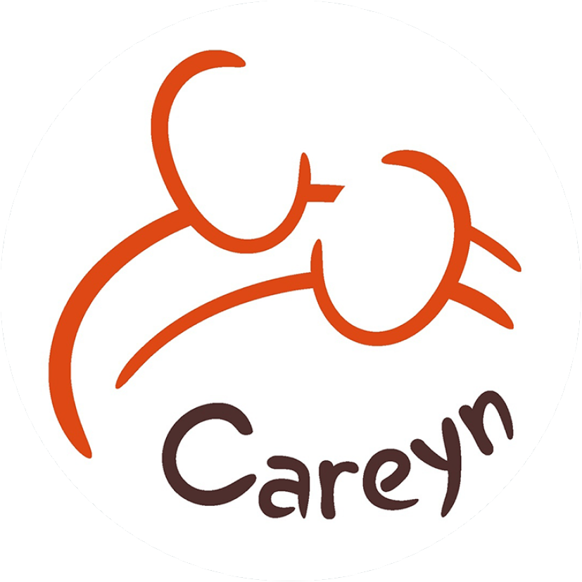 logo_careyn.png