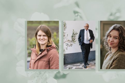 Terdege Live website 6-3