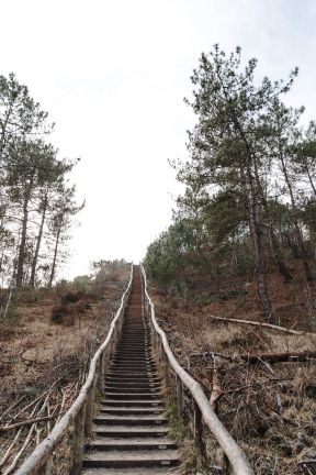 Toerisme Schoorl- duinen wandeling- RenateB _20_.jpg