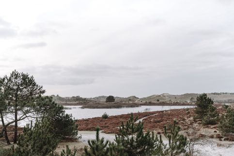 Toerisme Schoorl- duinen wandeling- RenateB _42_