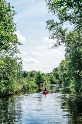 Weerribben- rust en ruimte- varen _4_.jpg