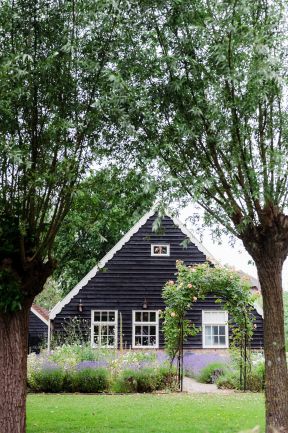 spg-20398-koekaas fietsroute-27.jpg