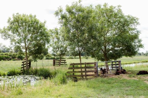 spg-20398-koekaas fietsroute-34