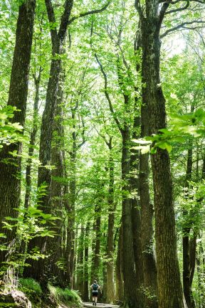 spg-20493-wandeling Berg en Dal-41.jpg