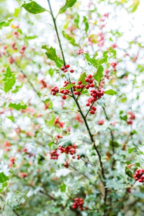 spg-20766-landgoed Twickel-46.jpg