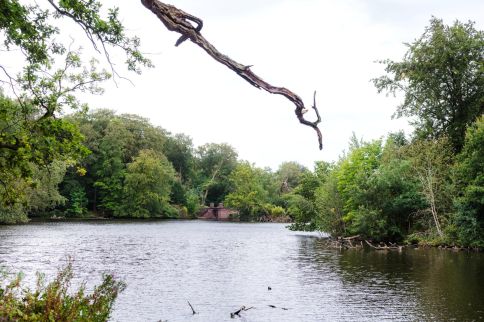 spg-21760-Landgoed De Horsten-22_preview