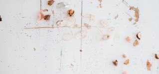 spg-promo TD en agenda 23 flatlays najaar-34-aangepaset