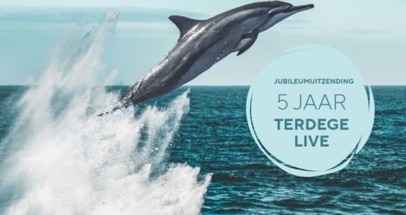 terdege live dolfinarium