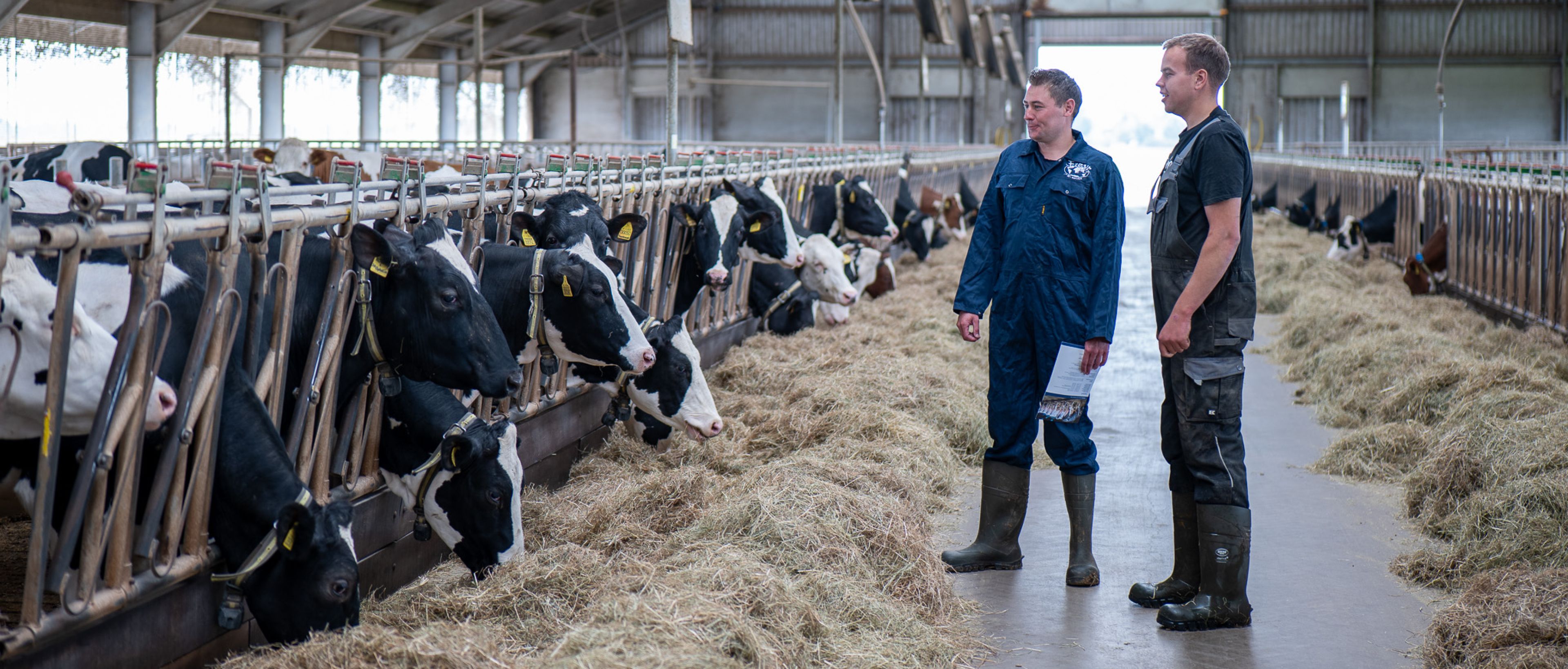 Fokkerij adviseur melkveehouderij / accountmanager fokkerij