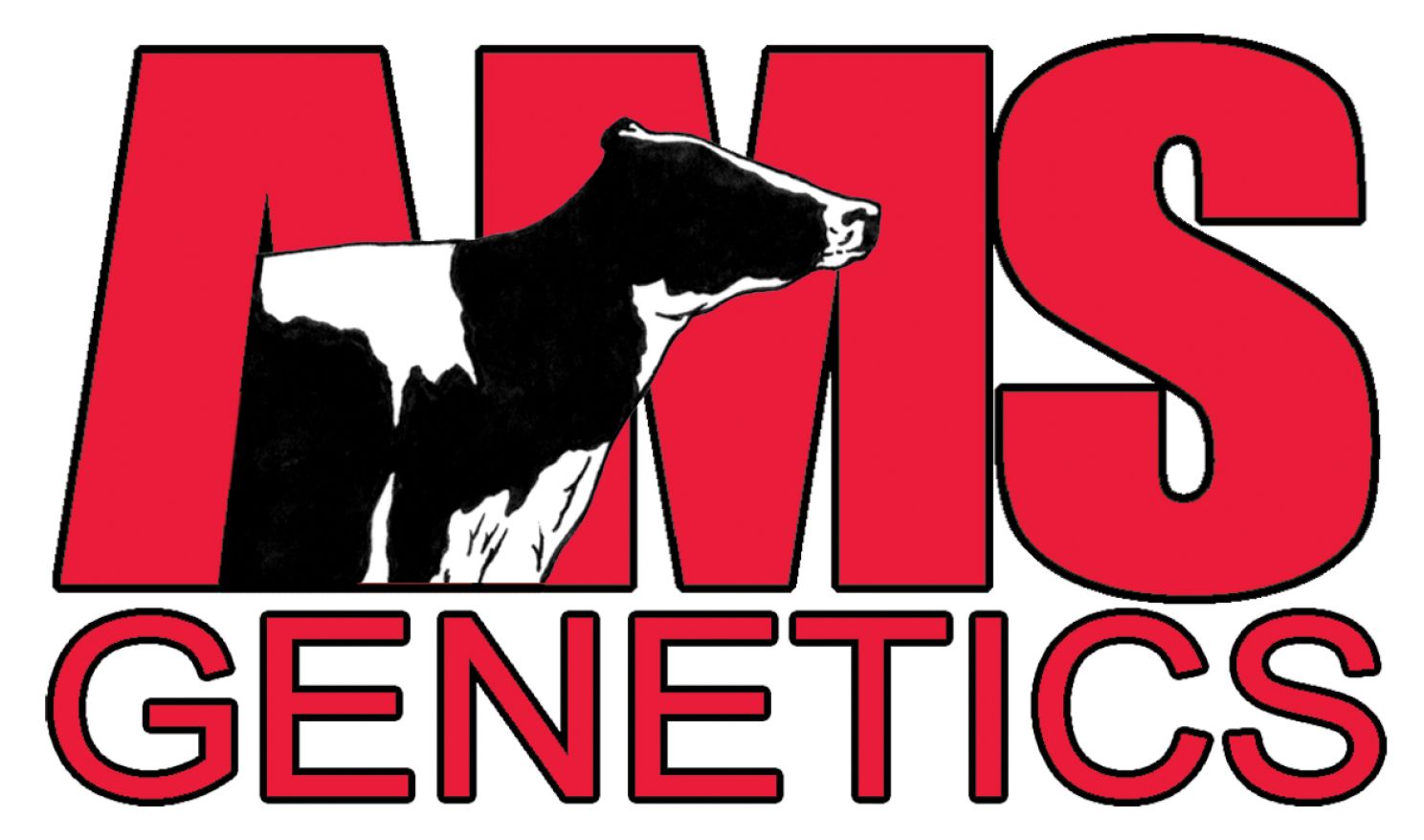 AMS Logo color