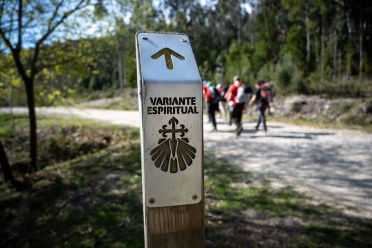 Camino VJ25-2.jpg
