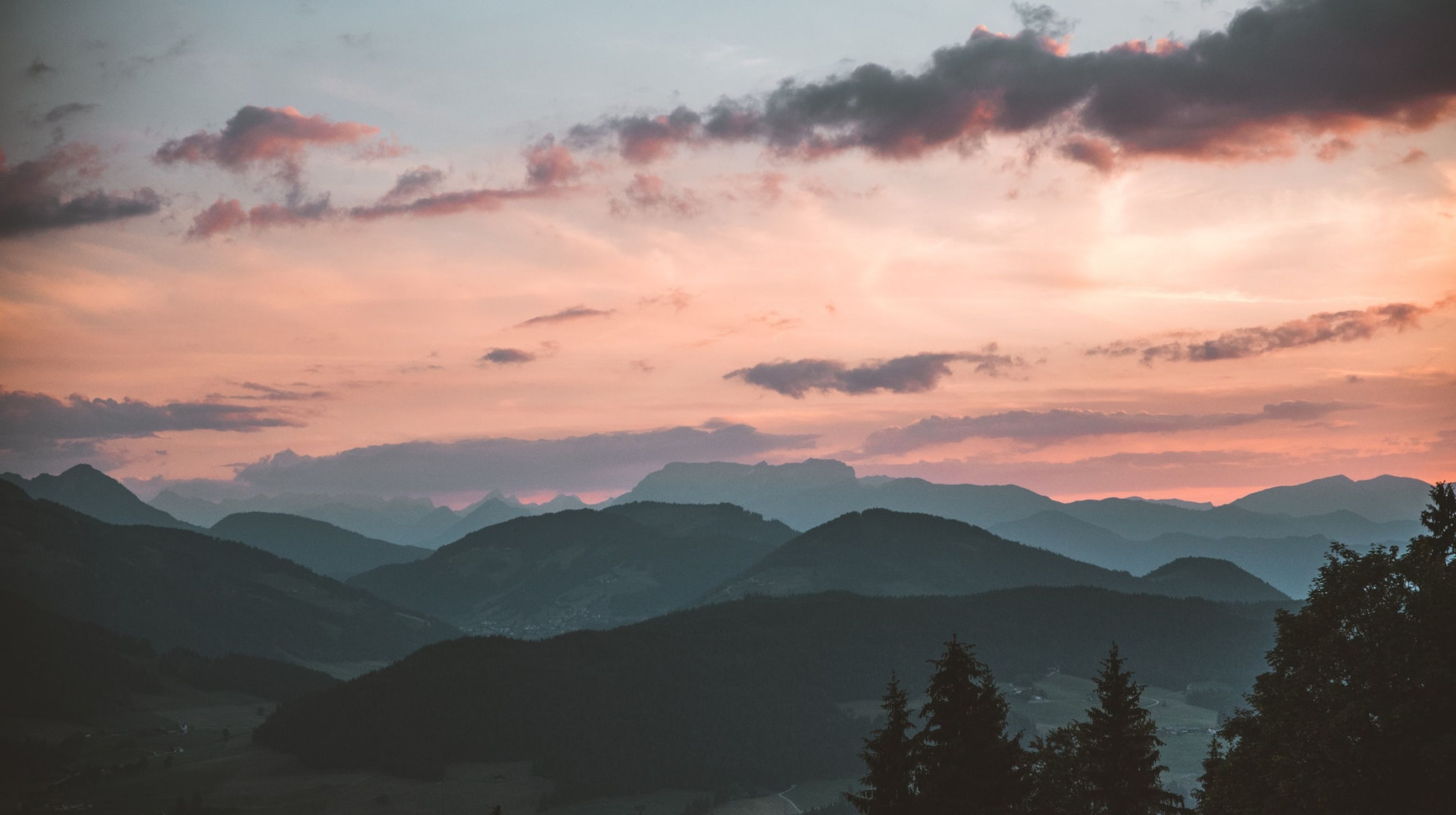 pexels-stephan-seeber-1261728