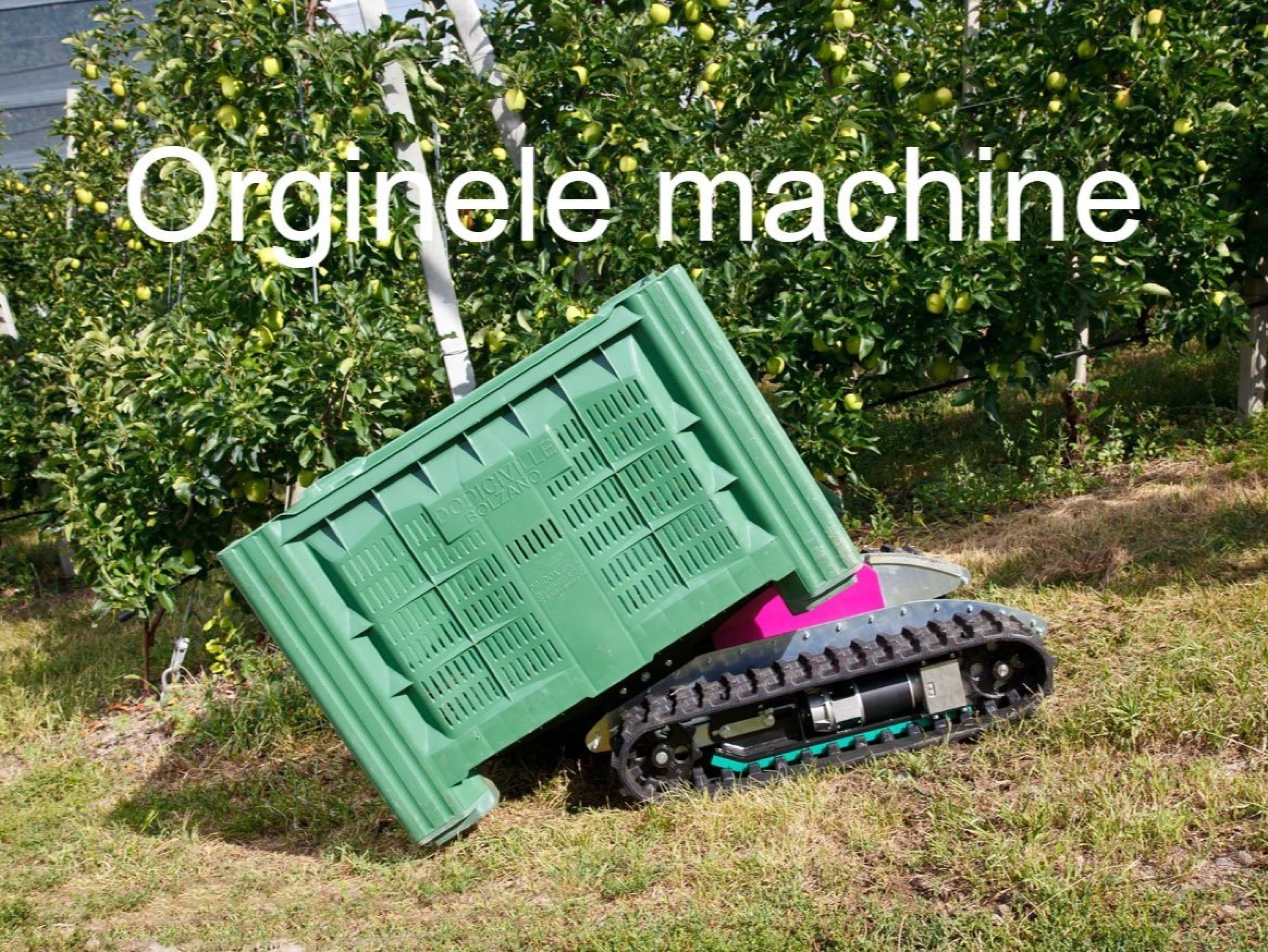 Neo kistentransporter