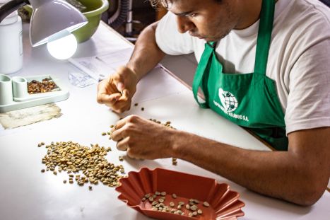 APAC controleert kwaliteit koffiebonen Kaars Koffie APAC controleert kwaliteit koffiebonen Kaars Koffie