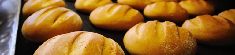 Food Recruitment