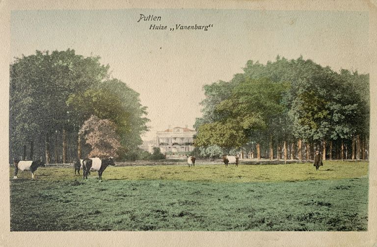 Lakenveldsche koeien