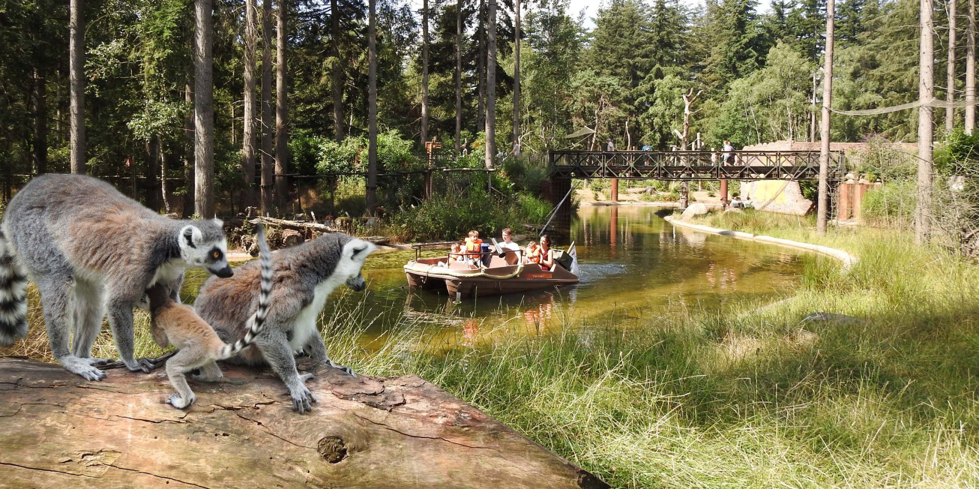 De Grote Wildernis
