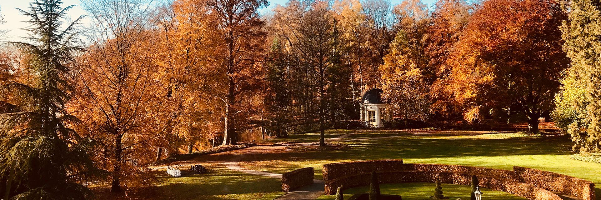 Header bomentuin herfst