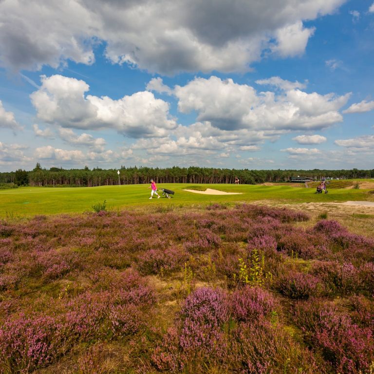 LINKS VALLEY golfarrangement hotelveluwe KasteelDeVanenburg