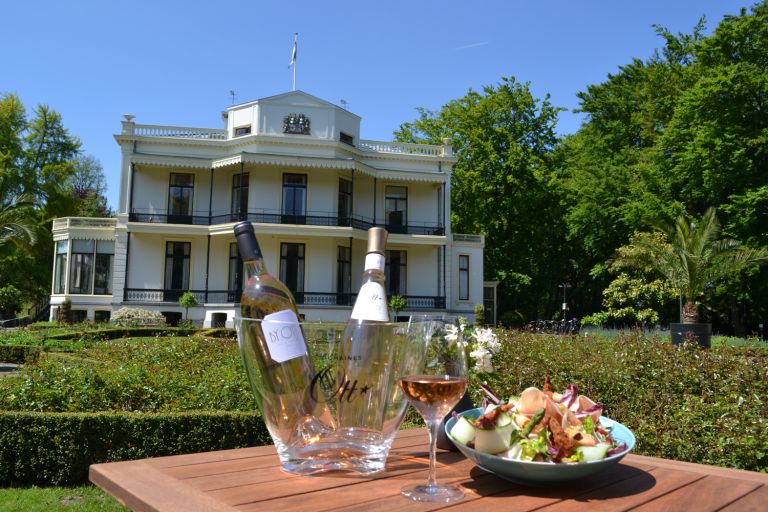 Kasteel De Vanenburg