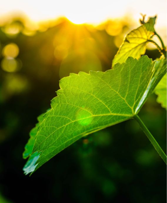 Gezinsvakantie, familieweekend of samen er op uit?