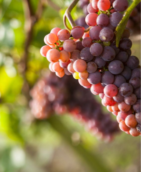 Gezinsvakantie, familieweekend of samen er op uit?