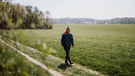 Mookerheide Wandeling
