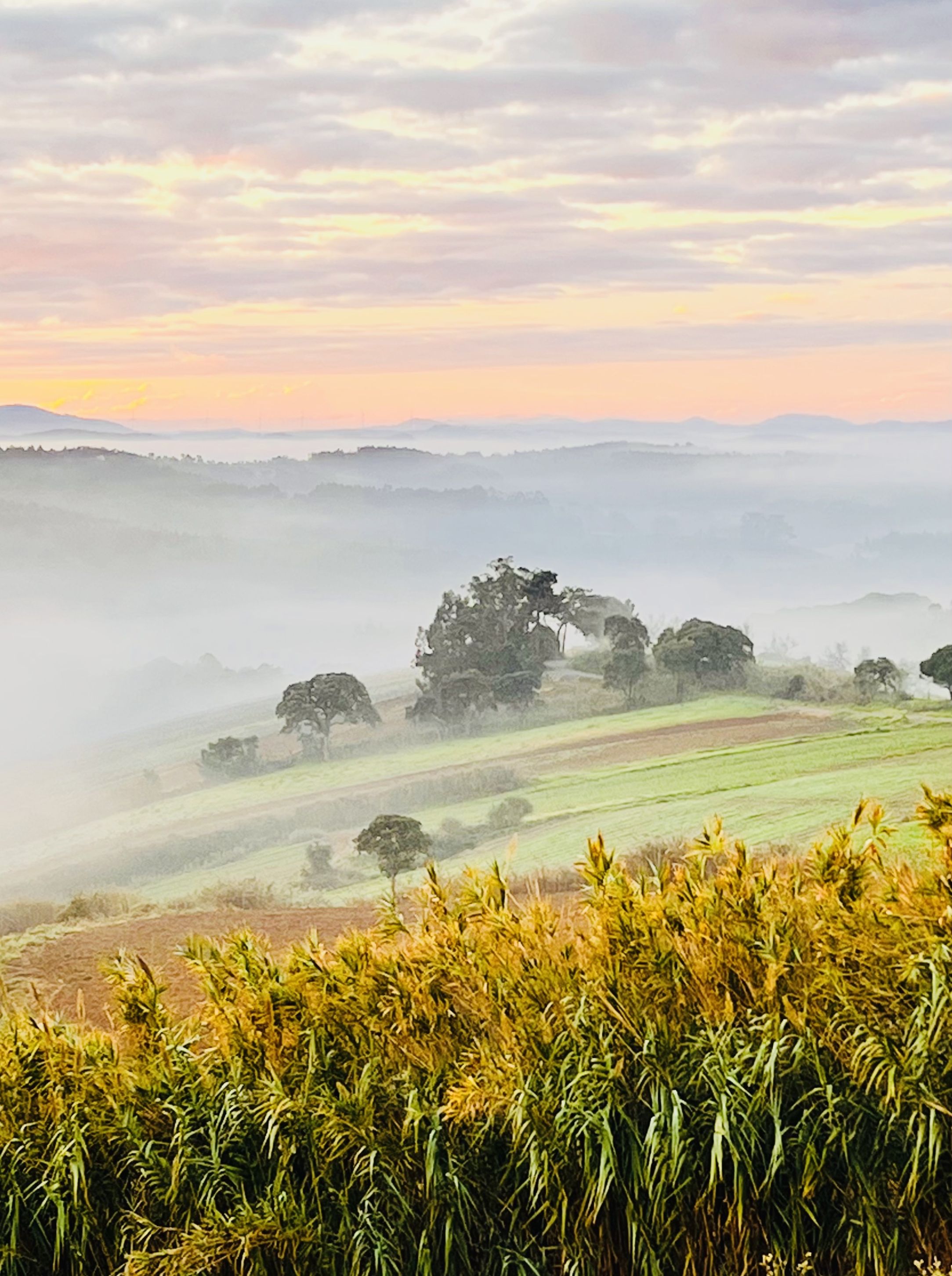 Alentejo