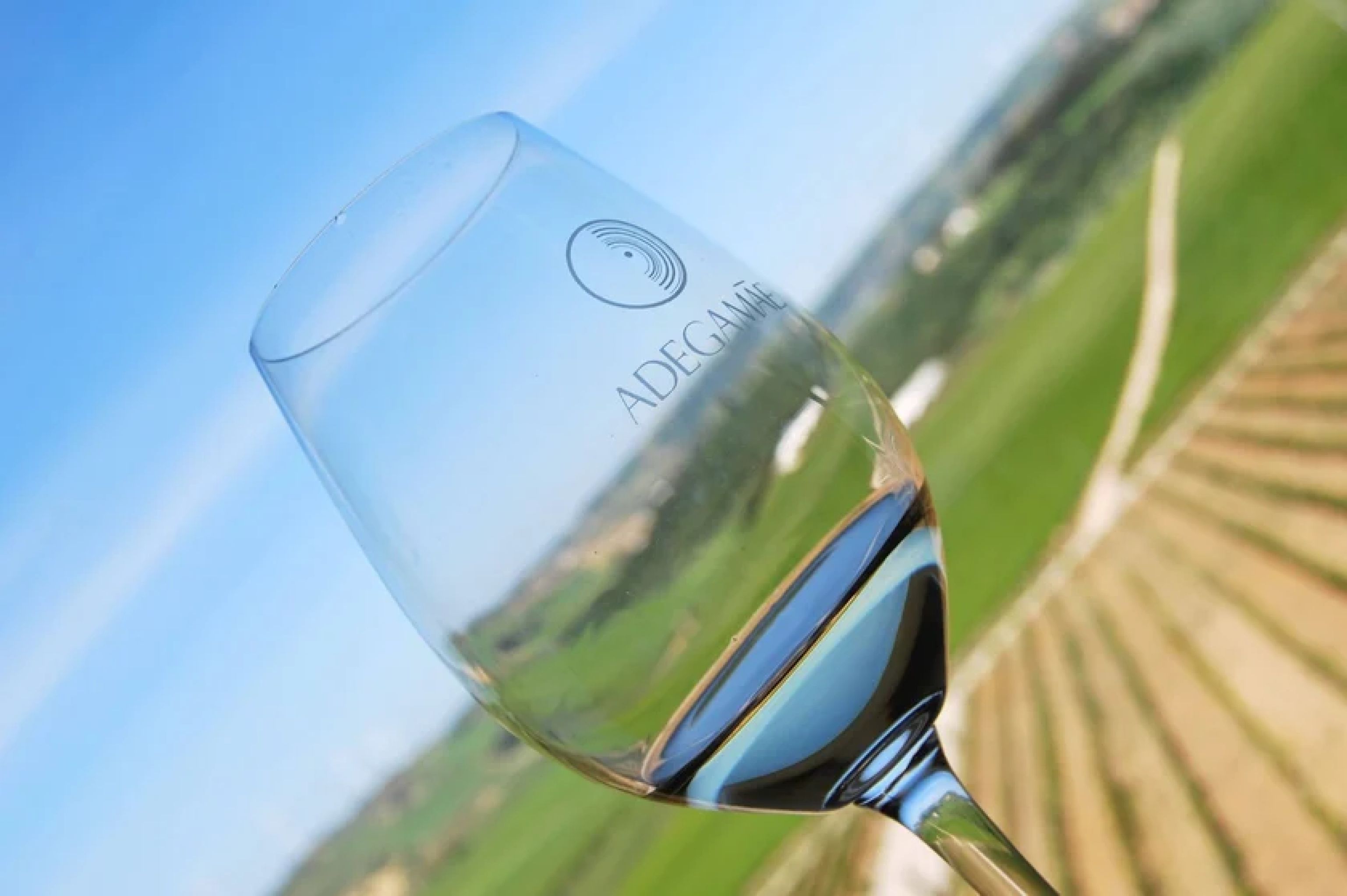 Geef je verblijf een twist met ons exclusieve culinaire arrangement. Vanaf het moment van aankomst tot aan vertrek kun je genieten van al het heerlijks dat Serena Vista te bieden heeft.
<br><br>
Begin de dag goed met een verrukkelijk en uitgebreid ontbijt, samengesteld met zorgvuldig geselecteerde ingrediënten. Proef de versheid en kwaliteit van onze biologische producten, die vaak rechtstreeks uit onze eigen tuin komen.
<br><br>
Maar er is meer! Een absoluut hoogtepunt van je verblijf is een exclusieve excursie naar een gerenommeerd wijnhuis. Geniet van een betoverende reis door de wereld van wijn, waar u kunt proeven van de beste selecties en de geheimen van de wijnbereiding kunt ontdekken. Ons eigen vervoer zorgt ervoor dat u zich volledig kunt ontspannen en kunt genieten van de prachtige omgeving.
<br><br>
Als kers op de culinaire taart nodigen we u uit om deel te nemen aan een inspirerende kookworkshop. Je zult versteld staan van de diversiteit aan gerechten die u kunt bereiden. Leer de geheimen van de keuken kennen en ontdek nieuwe technieken en smaakcombinaties. Deze culinaire reis is niet alleen verrukkelijk, maar ook een geweldige gelegenheid om samen te werken in onze ruime keuken en een gezellig diner te bereiden.
<br><br>
Laat je smaakpapillen verwennen en beleef een onvergetelijke culinaire ervaring tijdens je verblijf bij Serena Vista.
