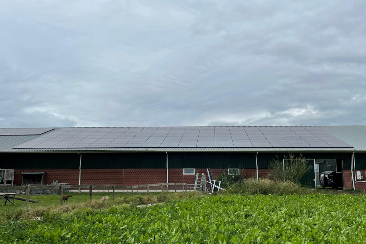 solar systems boerderij zonnepanelen