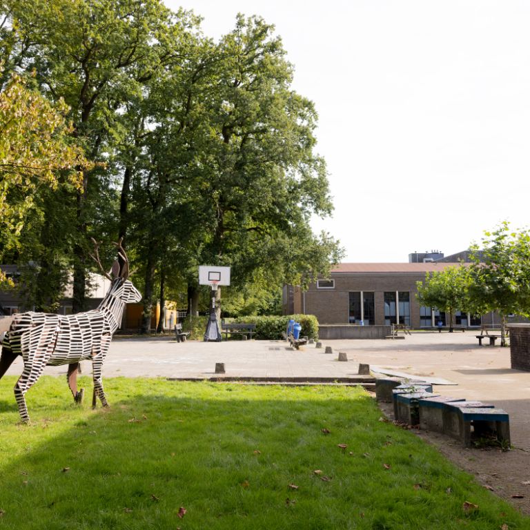 International School Groningen - Maartenscollege — Sports