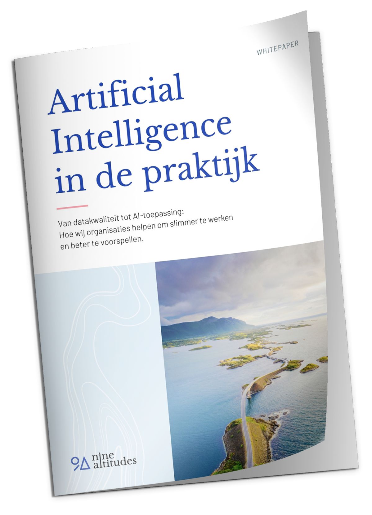 Whitepaper: AI in de praktijk Whitepaper: AI in de Prakijk