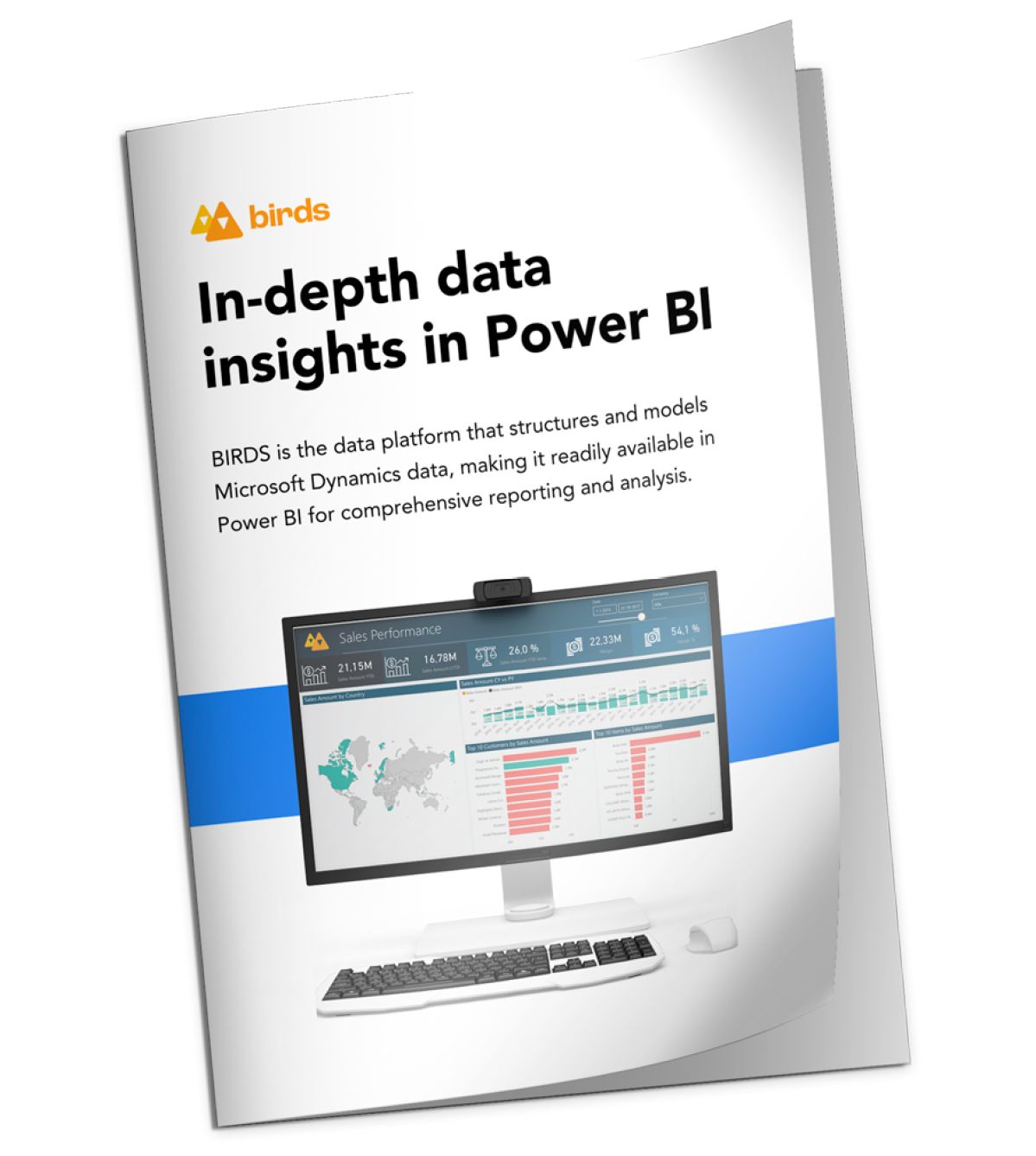 BIRDS dataplatform for Dynamics and Power BI | Product paper